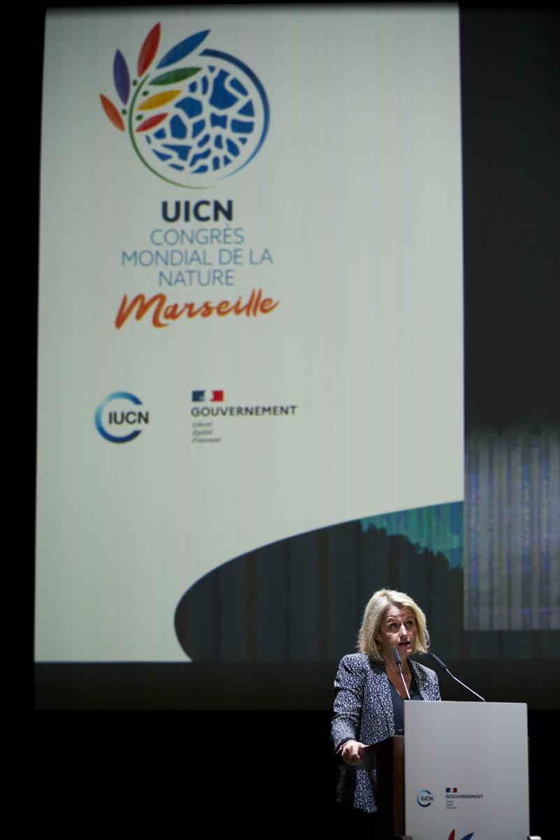 Photo highlights from the Congress | IUCN World Conservation Congress 2020