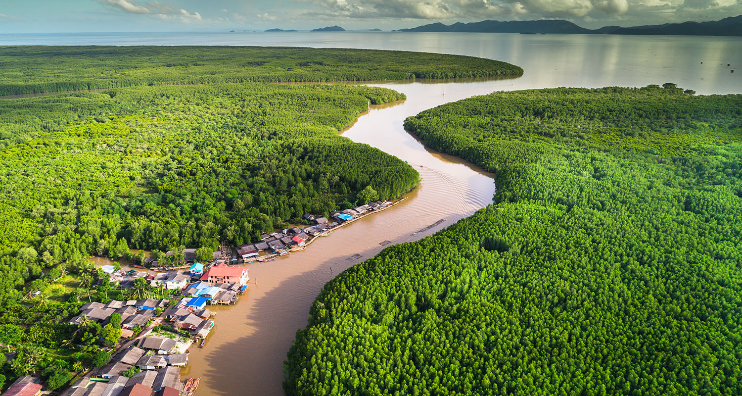 Fisherman village and mangrove forest in Thailand