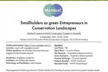 Green Entrepreneurship flyer