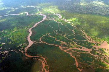 Complex channels in the Tana Delta. Photo: Colin Jackson