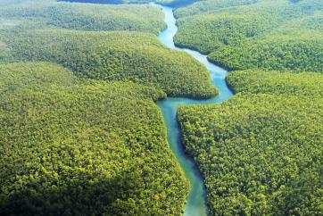 Amazon River.  	©Johnny Lye