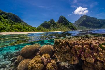 Coral reef in American Samoa - photo by Shaun Wolfe for The Ocean Agency
