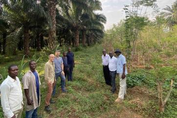 smallholder agroforestry