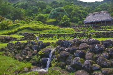 Limahuli Garden and Preserve is a modern expression of Hawaiian ahupuaʻa management 