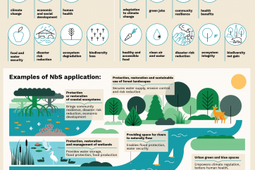 NbS infographic poster