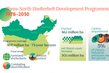 China's Three-north Forest Shelterbelt Programme