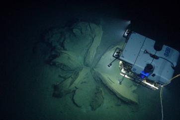 ROV D2 discovers the remnants of asphalt volcanoes. Image courtesy of the NOAA Office of Ocean Exploration and Research.