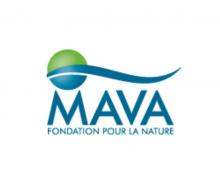 mava-foundation